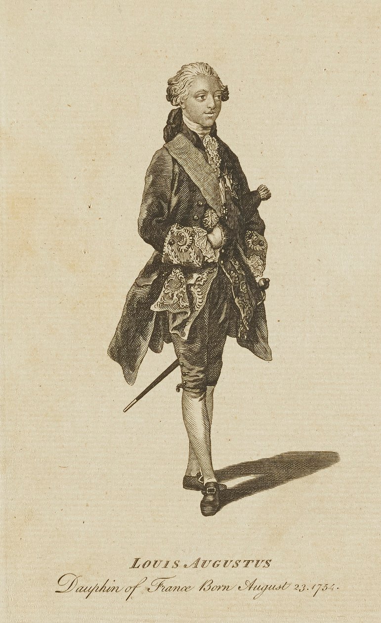 Luis Augusto, Delfín de Francia de Unidentified