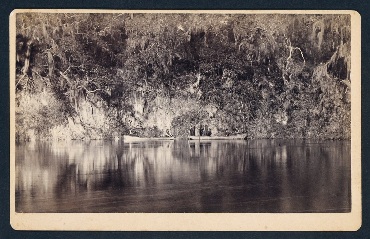 [Bajo los acantilados del río Withlacoochee, Florida] de Unidentified