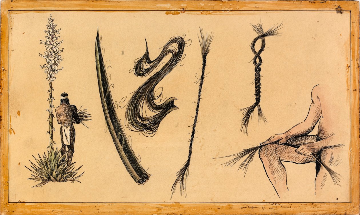 Fabricación de cuerda de yuca de Unidentified