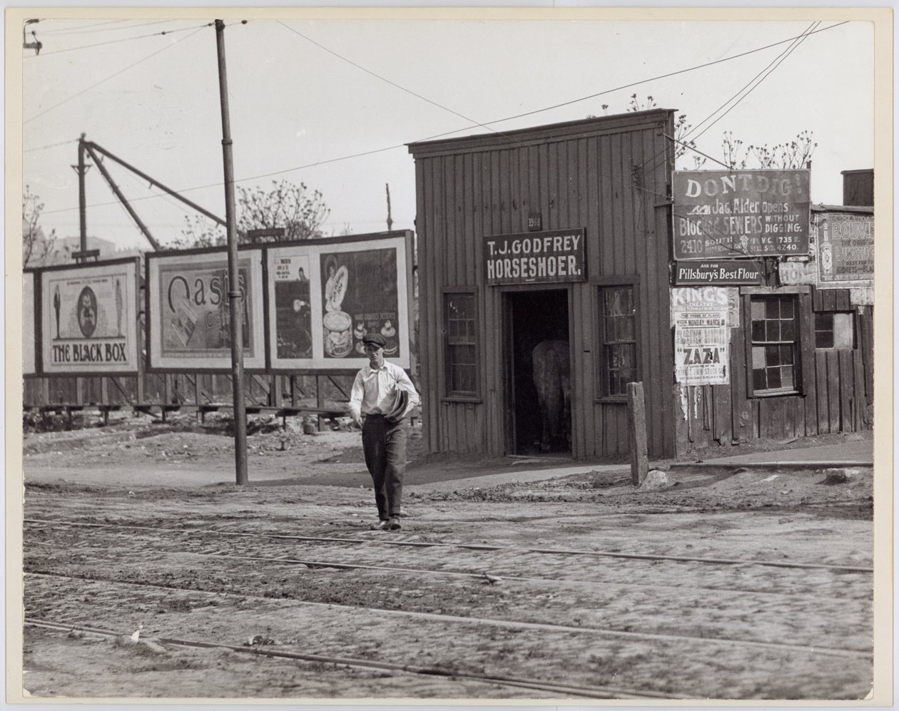 T. J. Godfrey Herrero de caballos, 3968 Chouteau de Unknown
