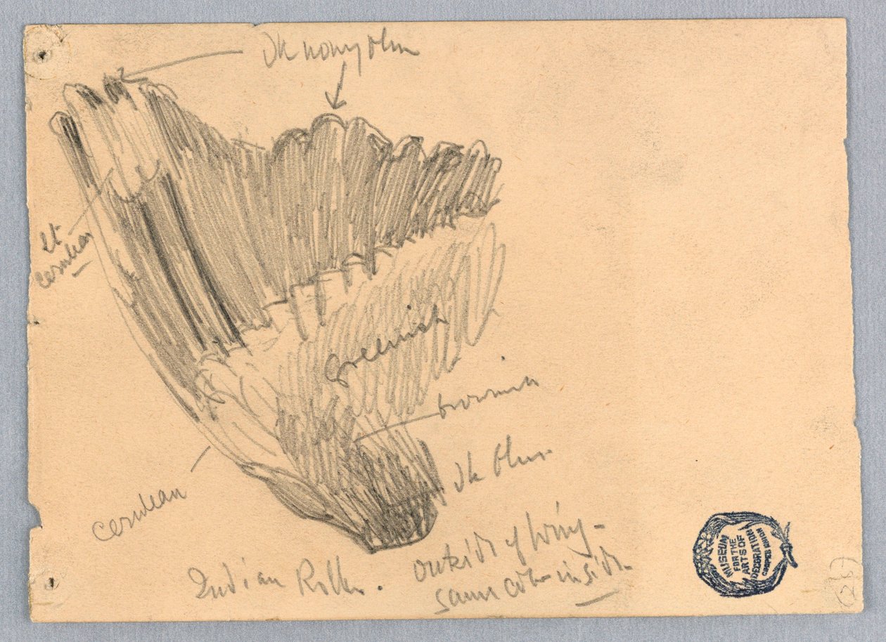 Dibujo de Unknown
