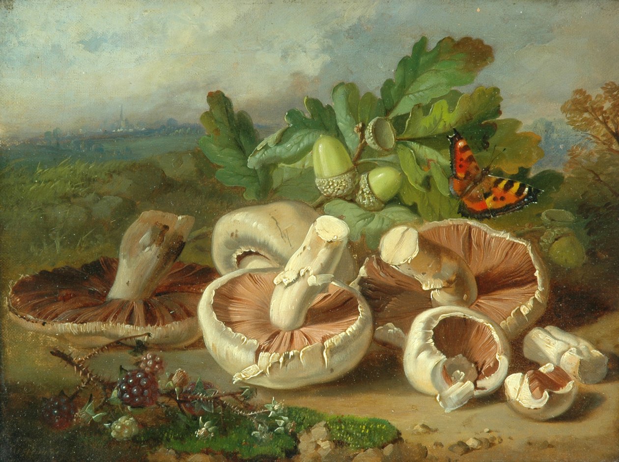 Naturaleza Muerta con Hongos, Etc., 1859 de Unknown