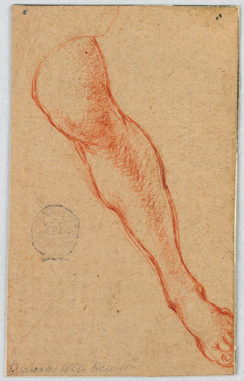 Estudio de la pierna izquierda de una mujer sentada de Unknown