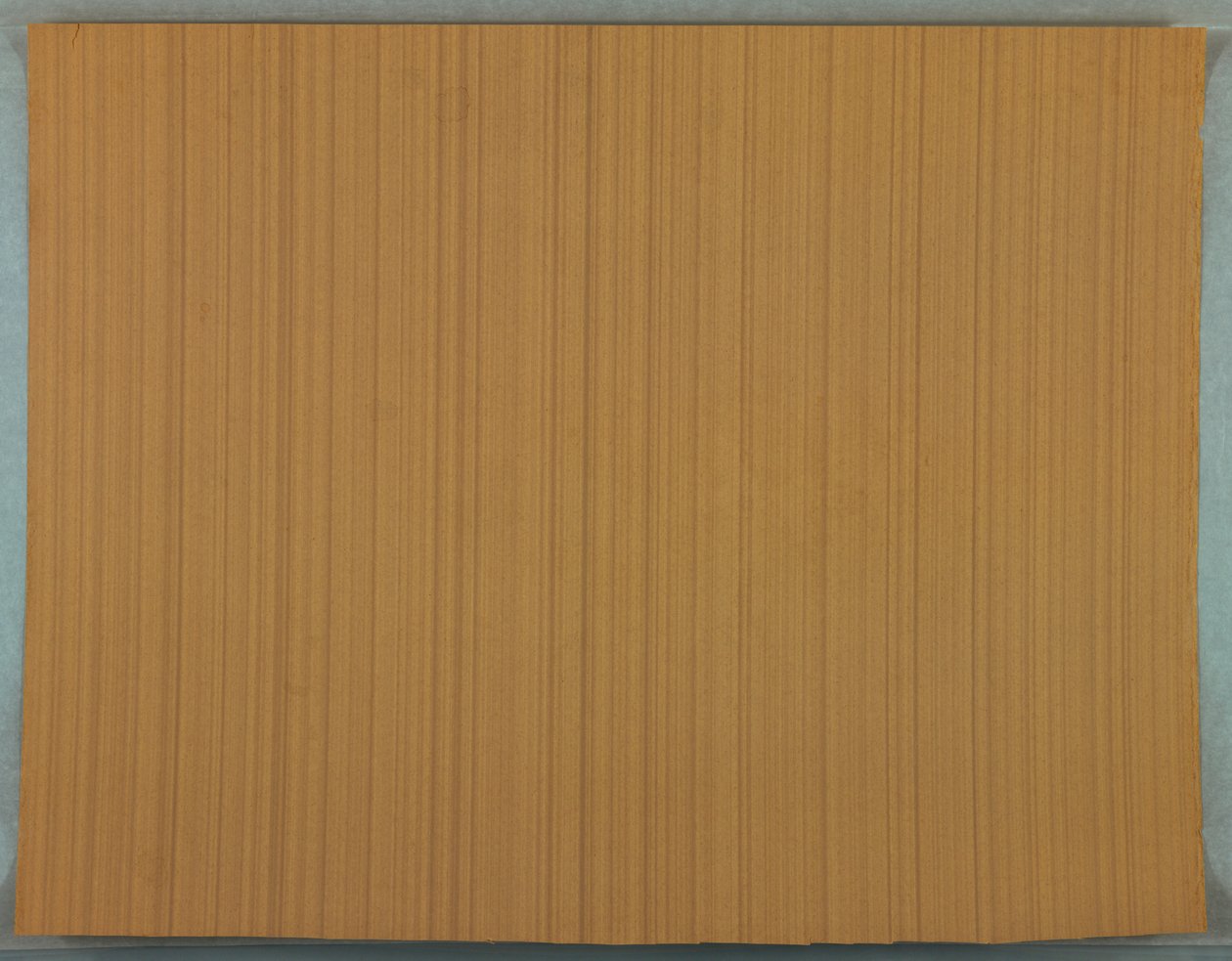 Papel pintado (posiblemente Francia), 1895-1905 de Unknown
