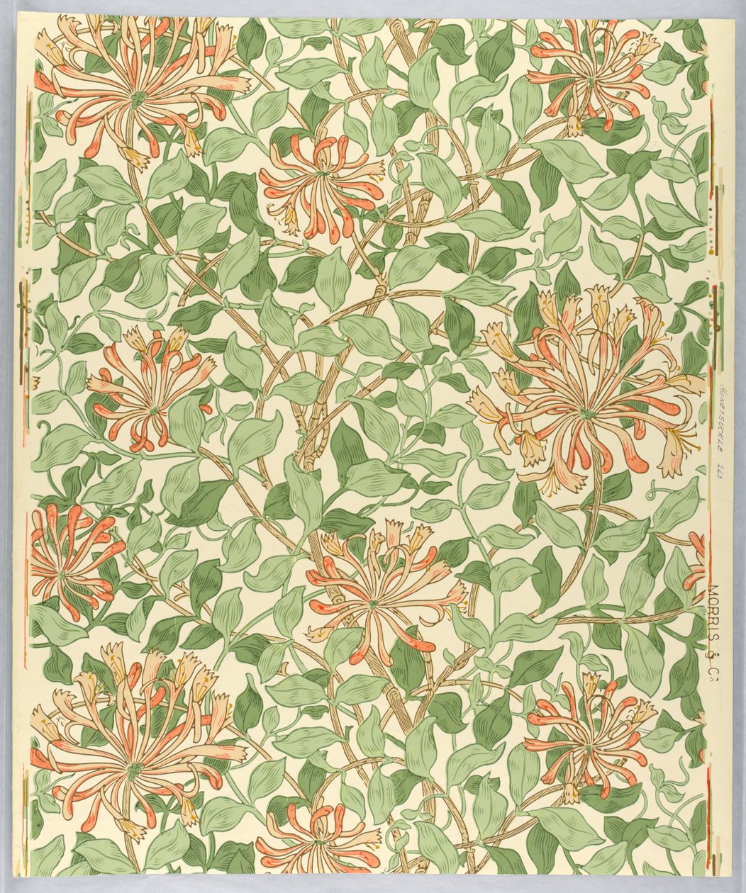 Papel pintado, madreselva, 1883 de Unknown