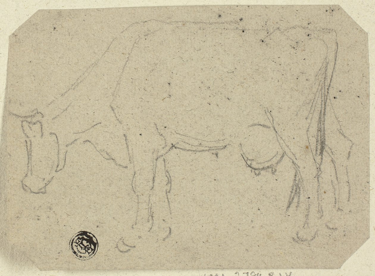 Vaca pastando (recto); Cabeza de un animal (verso) de Unknown