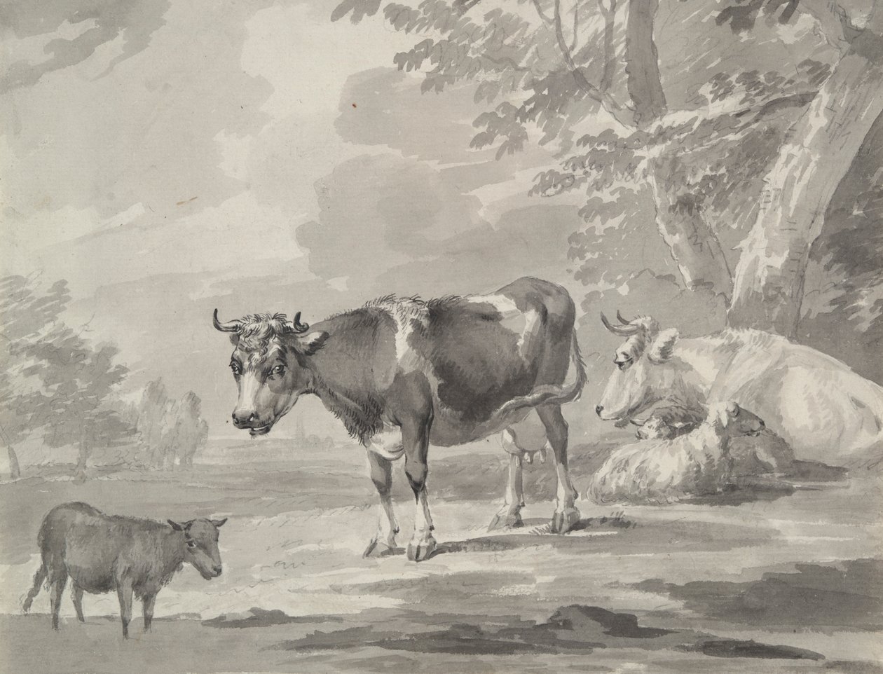 vacas y ovejas de Unknown