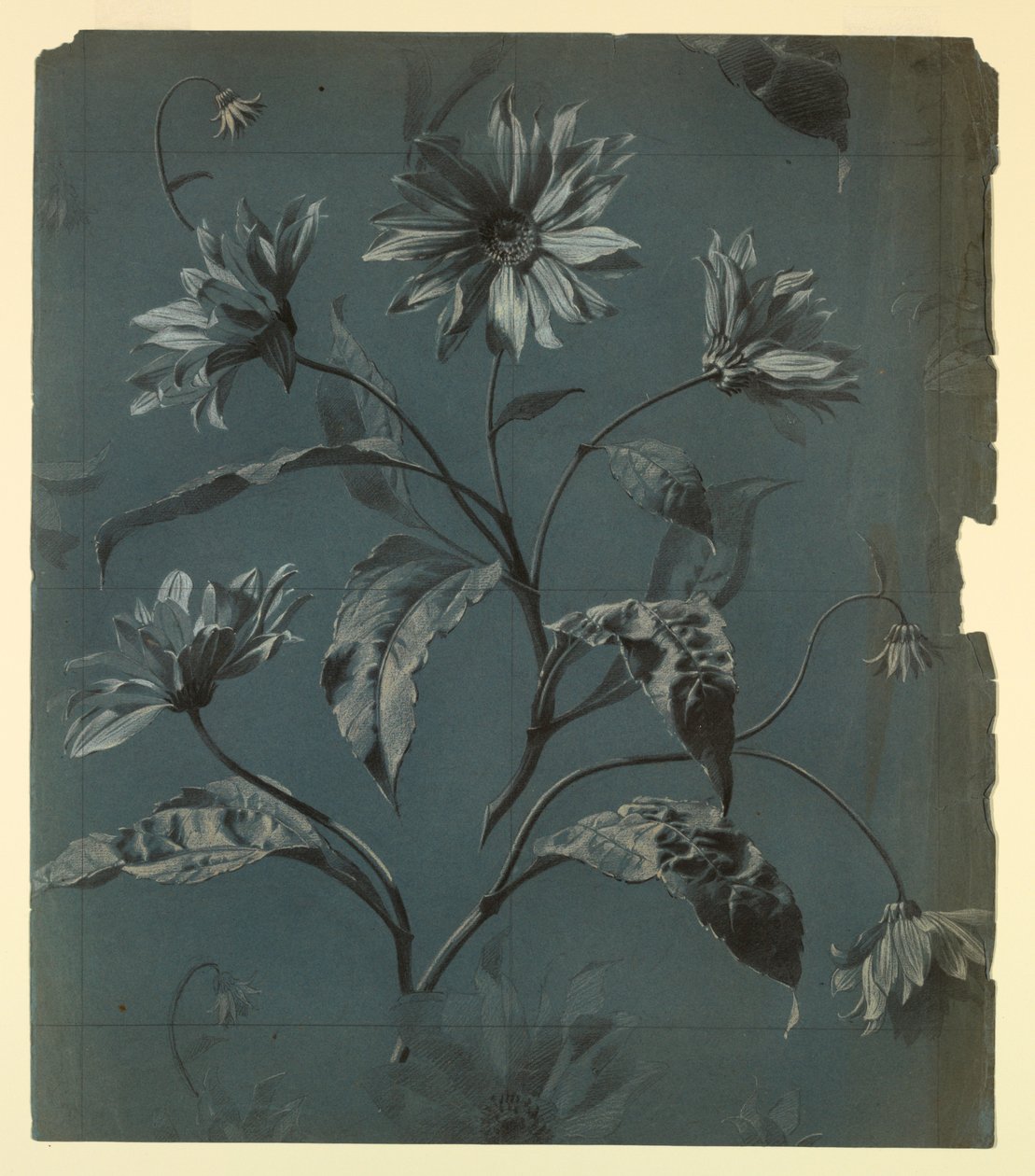 Diseño para papel tapiz o textil de flor tipo margarita con repetición de Unknown