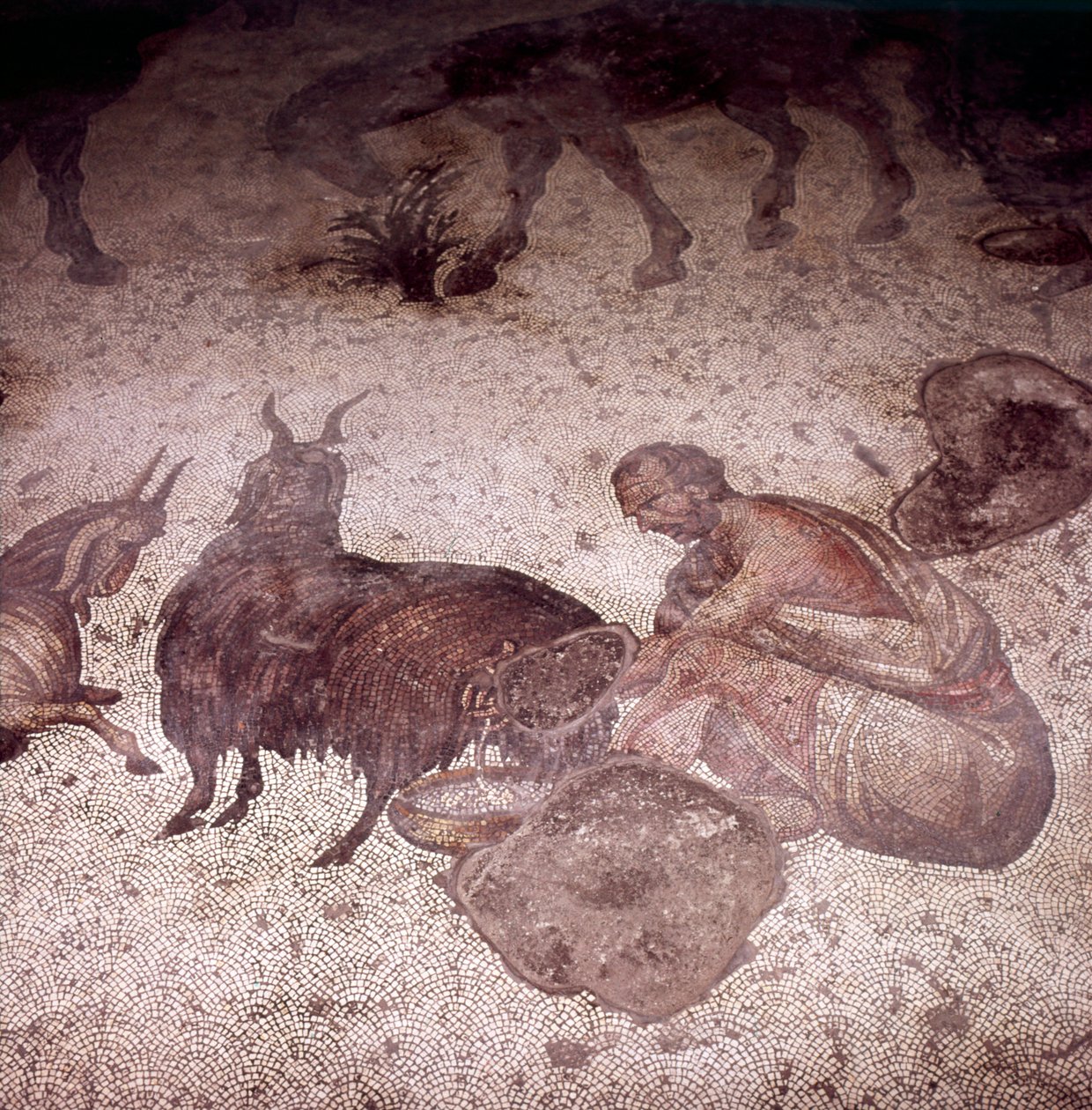 (detalle) Mosaico del suelo en el Gran Palacio, Estambul, Reinado de Justiniano, 565-575 de Unknown
