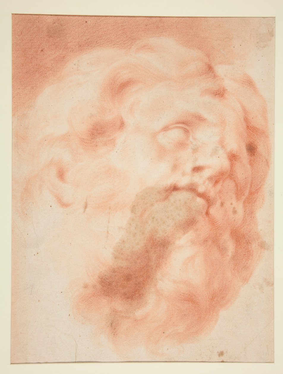 cabeza de un hombre con barba de Unknown