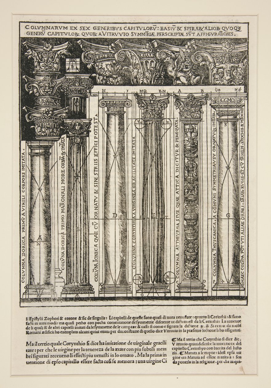 Seis Órdenes, Libro IV de Unknown
