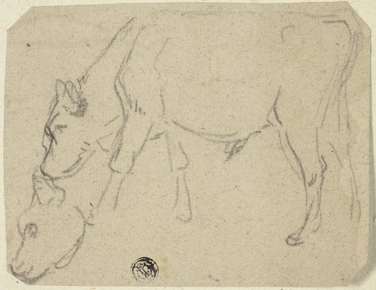 Bocetos de toro pastando, cabeza de vaca (anverso); vaca sentada de perfil (reverso) de Unknown