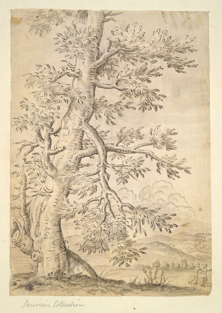 Árbol de Unknown