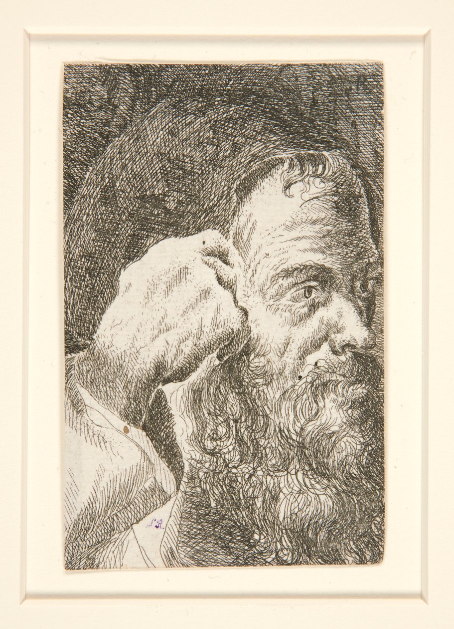 Sin título (Cabeza de hombre barbudo) de Unknown
