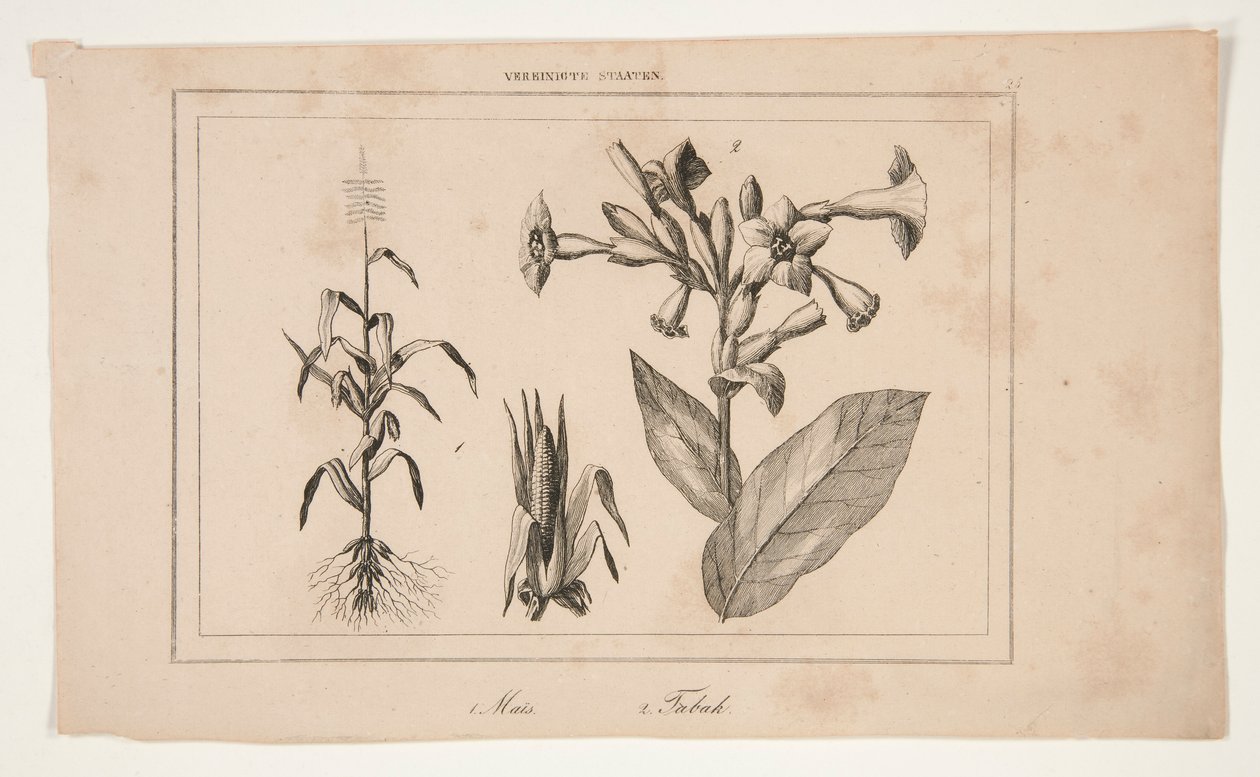 Sin título (Estudio de la agricultura estadounidense) de Unknown