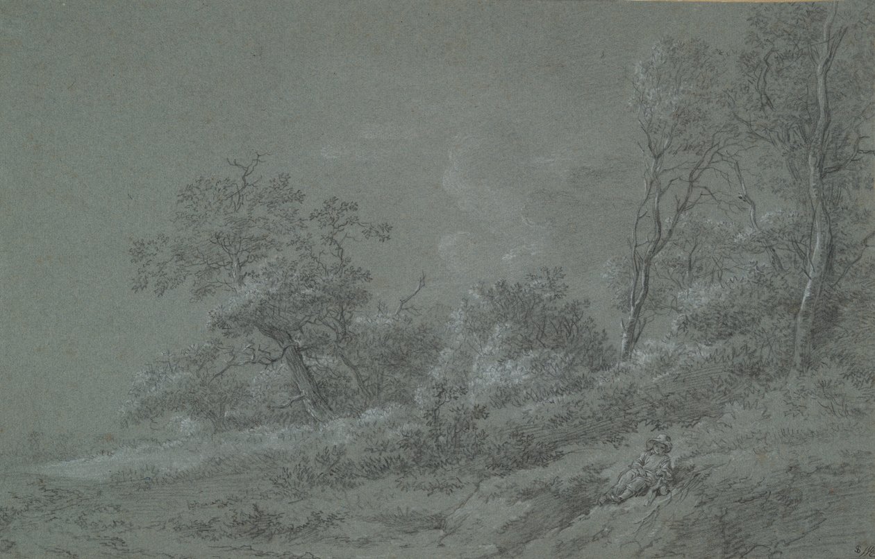 escena del bosque de Unknown