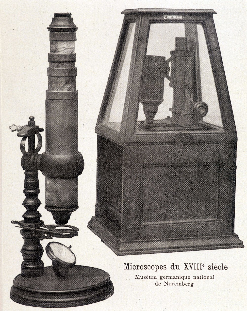 Microscopios del siglo XVIII: Museo Nacional Germánico de Núremberg de Unknown artist