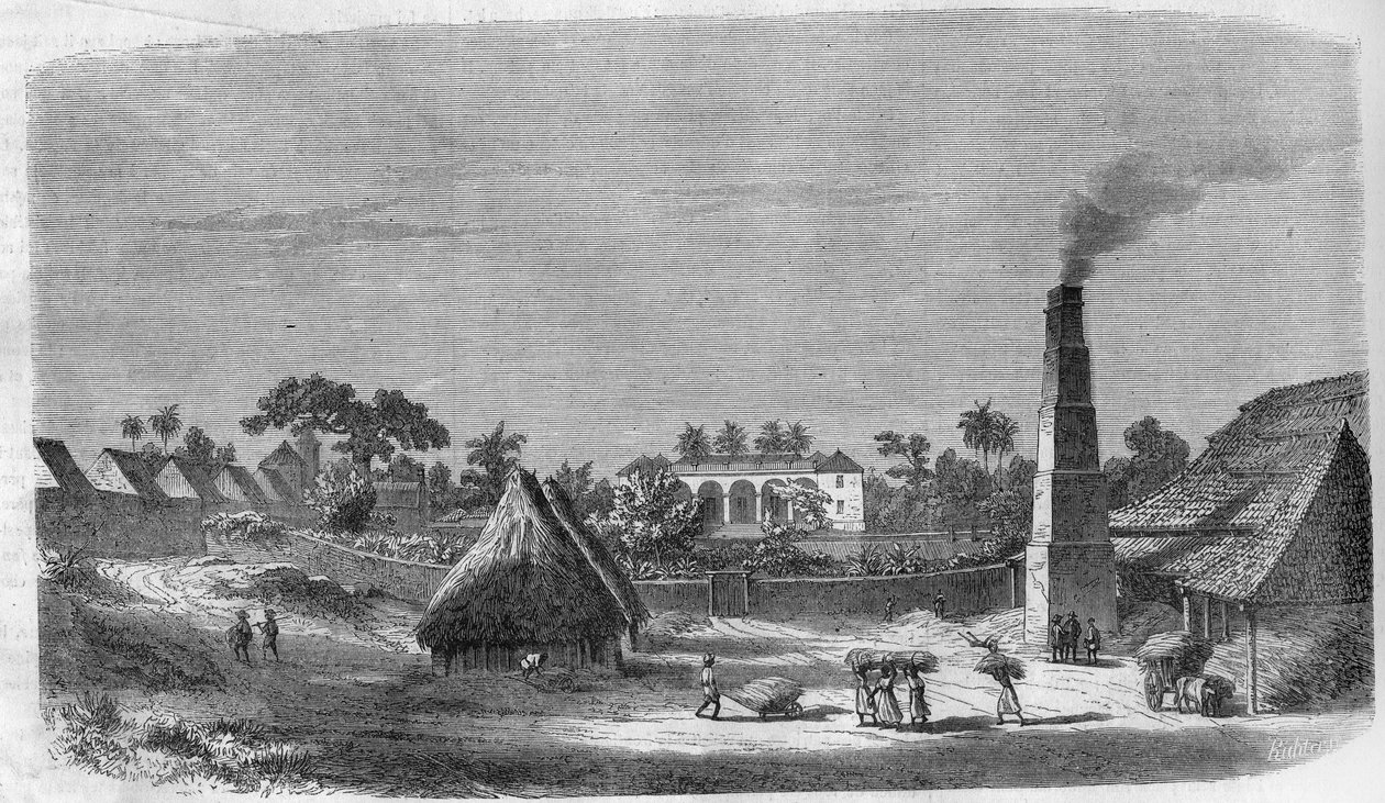Una fábrica de dulces en la isla de Cuba en 1869. de Unknown artist