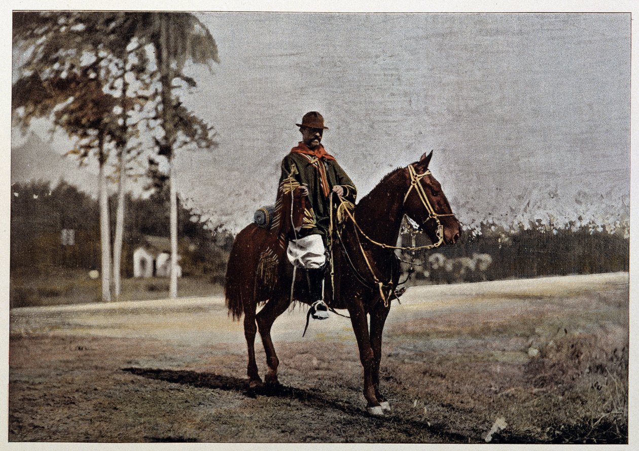 Un gaucho en Río Grande del Sur (Brasil), finales del siglo XIX de Unknown artist