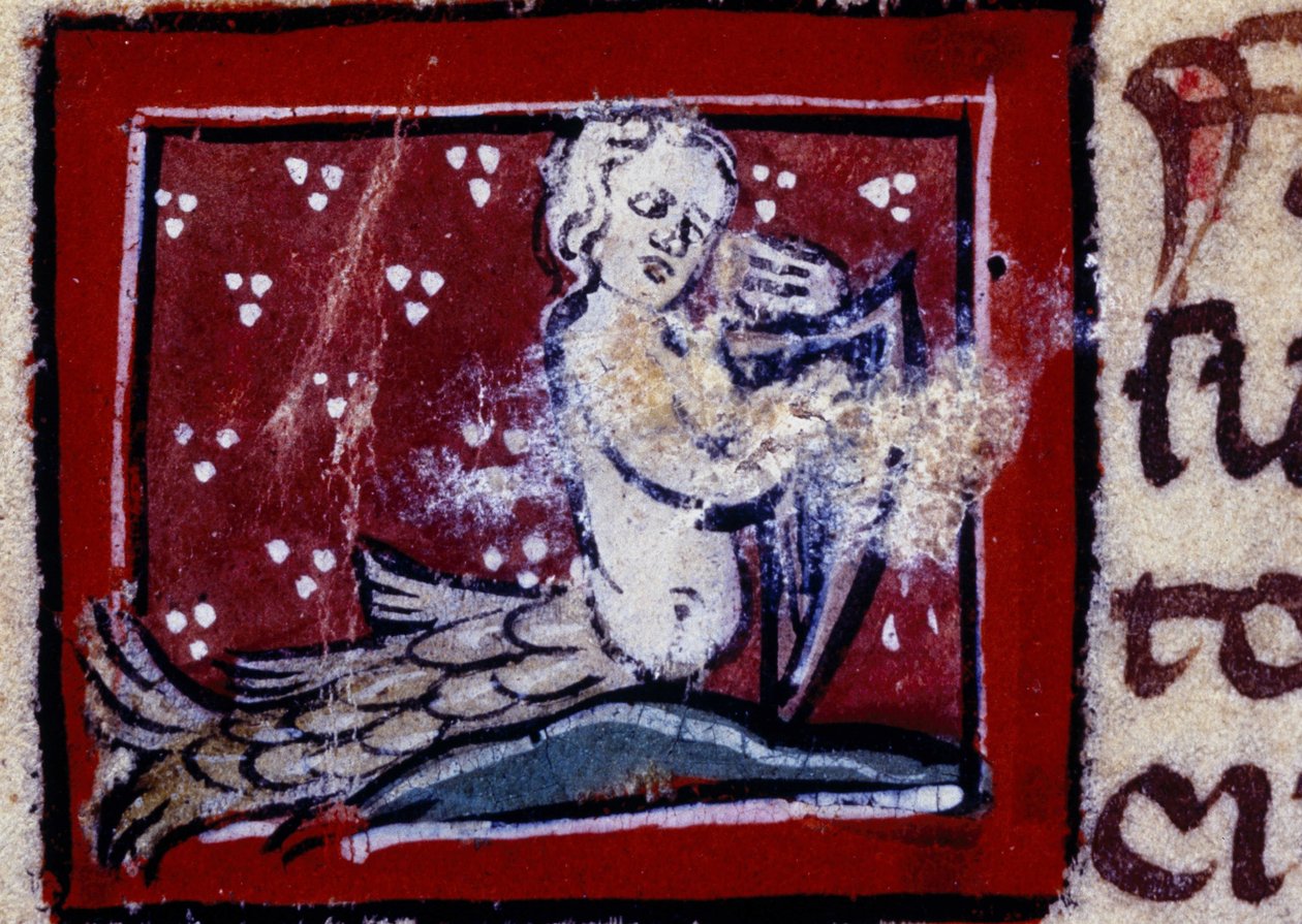 Una sirena - bestiario del siglo XIV. Milán, Biblioteca Trivulziana. de Unknown artist