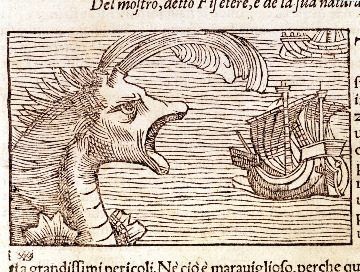 Un cachalote (?) (physeter) ataca un barco. Grabado de Olaus Magnus (1490-1557), religioso y geógrafo sueco, "Historia de Gentis Septentrionalibus", Venecia de Unknown artist