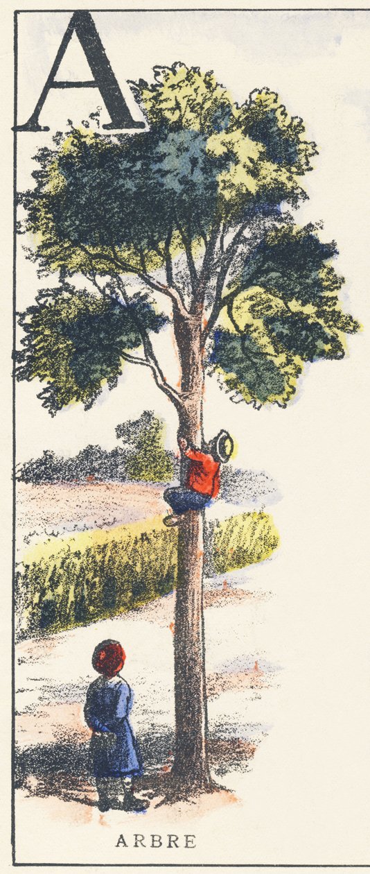 A: árbol de Unknown artist