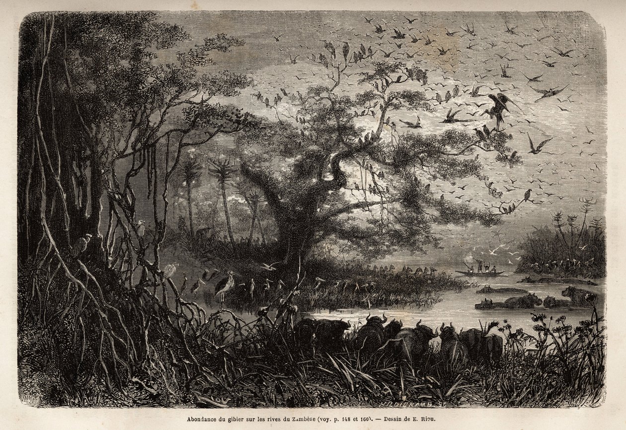 Abundancia de caza en las orillas del Zambeze de Unknown artist