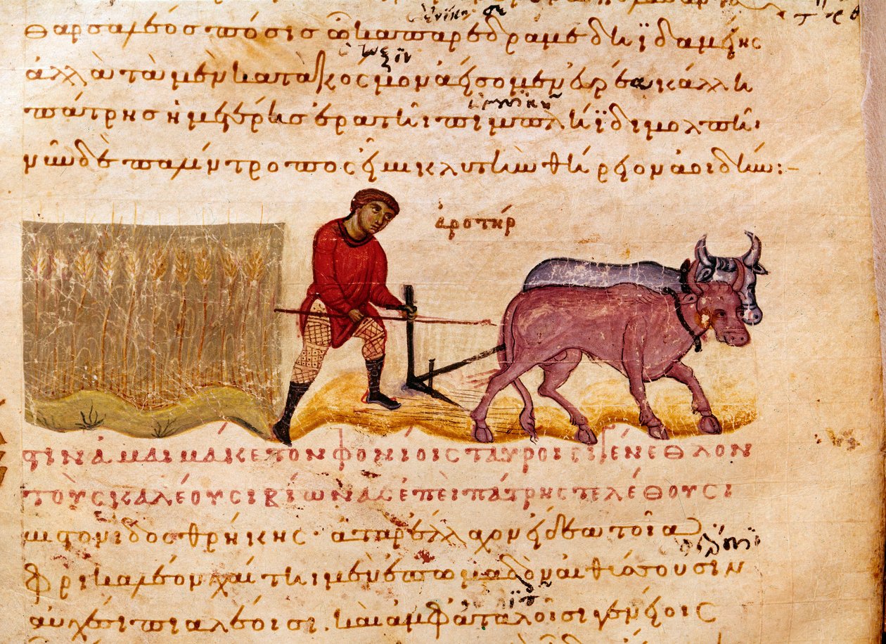 Agricultura: escena de arado de Unknown artist