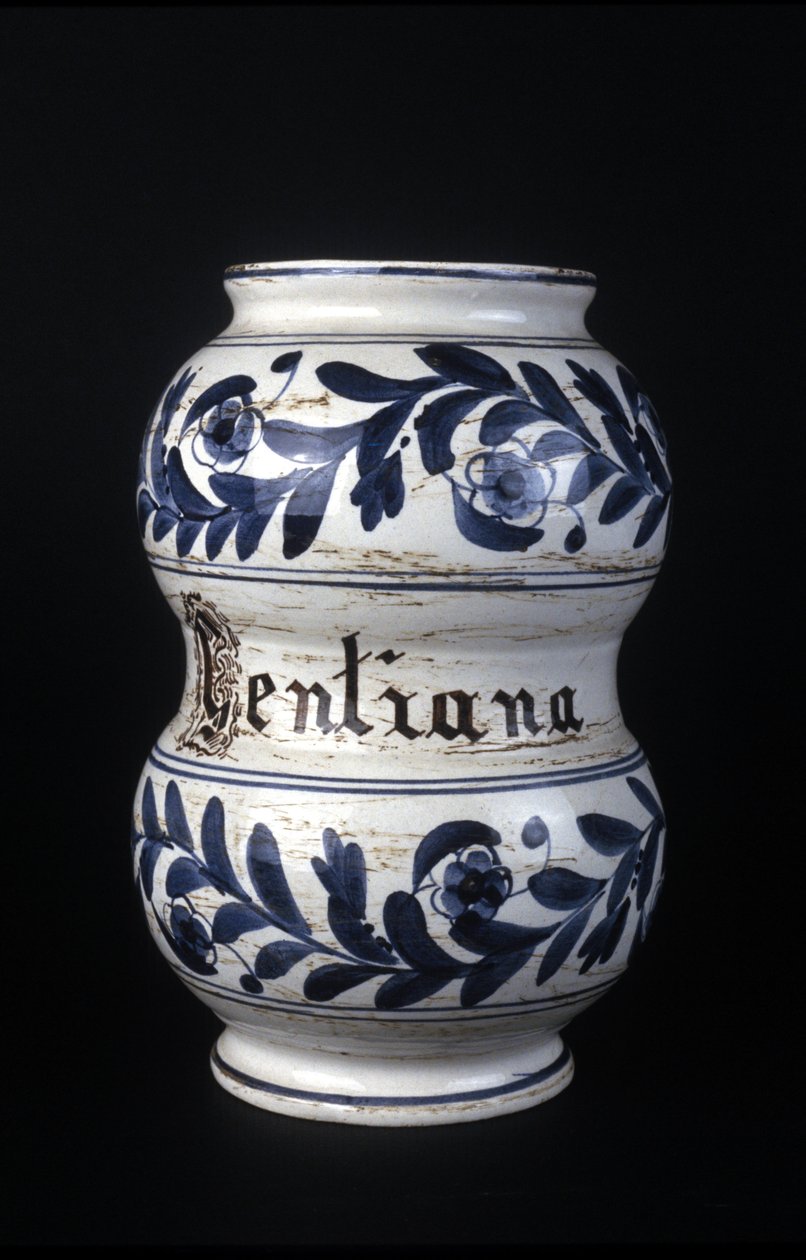 Albarelle: antiguo jarrón de farmacia del siglo XVI que contiene genciana. Museo de Ciencia y Tecnología, Milán de Unknown artist