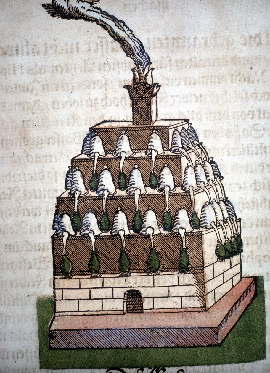 Alquimia: el Athanor Cuatro de un libro de Pietro Andrea Mattioli (Matthiole) (1500-1577). Frankfurt de Unknown artist
