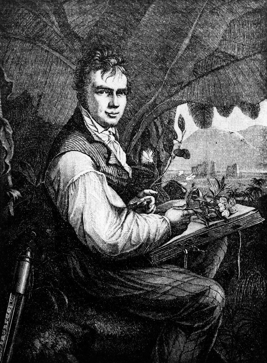 Alexander Von Humboldt de Unknown artist