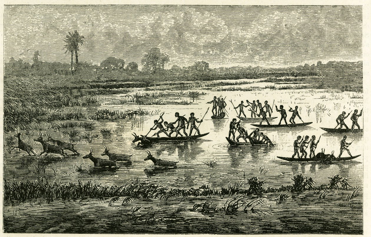 Caza de antílopes, caza anual durante la migración, los antílopes ralentizados en el agua del río son sacrificados por los guerreros Marutse, que los persiguen en equilibrio sobre canoas. Grabado para ilustrar la historia “En el país de los Marutses”, en 1 de Unknown artist