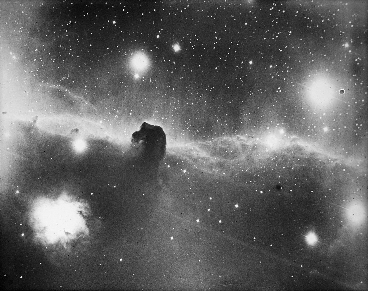 Placa de vidrio astronómica de la nebulosa de Zeta Orionis (negativo de vidrio) de Unknown Artist