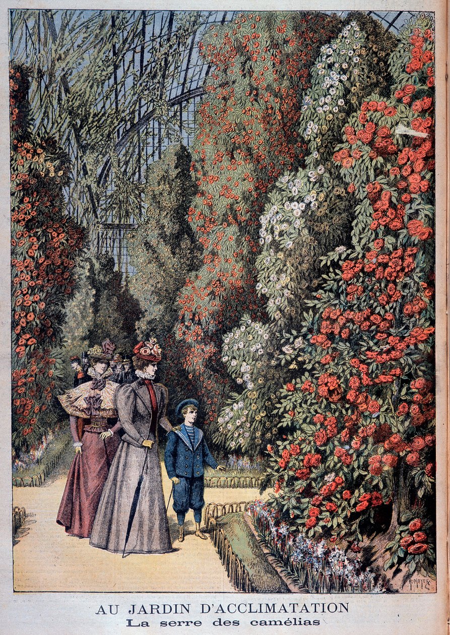 En el jardín de aclimatación: el invernadero de camelias - en “Le Petite Journal” de Unknown artist