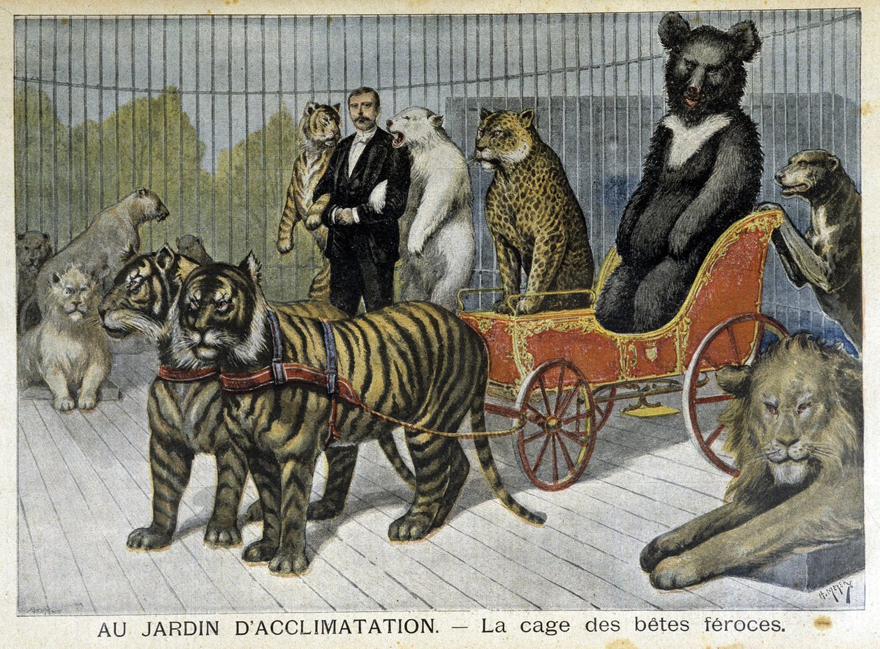 En el jardín de aclimatación: la jaula de las bestias feroces - en “Le Petit Journal” del 02/06/1895 de Unknown artist