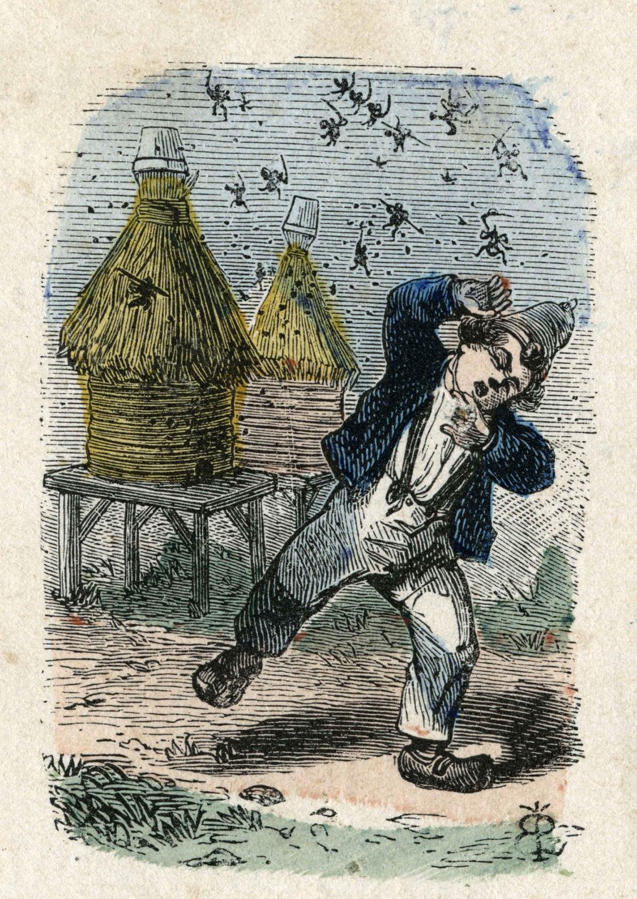 Las abejas atacan a un niño cerca de su colmena. Ilustración del siglo XIX. Colección Bianchetti de Unknown artist