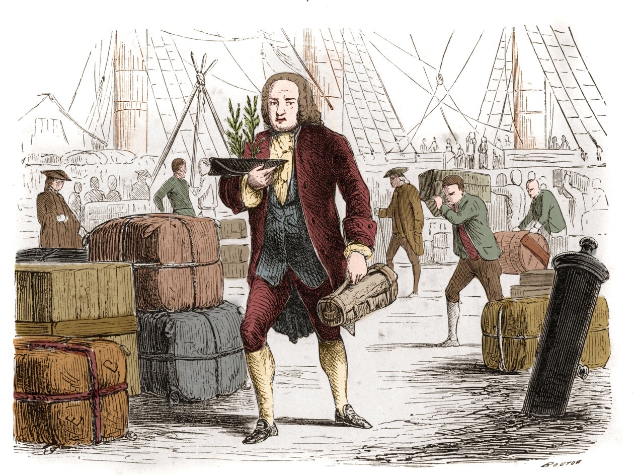 Bernard de Jussieu (1699-1777), botánico francés trayendo dos cedros del Líbano desde Inglaterra en 1734. Grabado de 1861 de Unknown artist