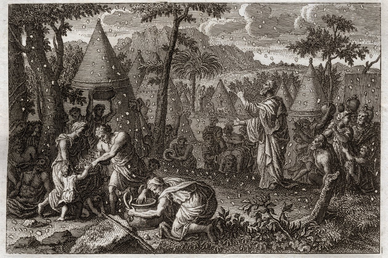 Biblia de Royaumont, Antiguo Testamento: Judíos en el desierto (o la recolección del maná). Dios hace caer maná del cielo durante cuarenta años. Ilustración de 1811. de Unknown artist