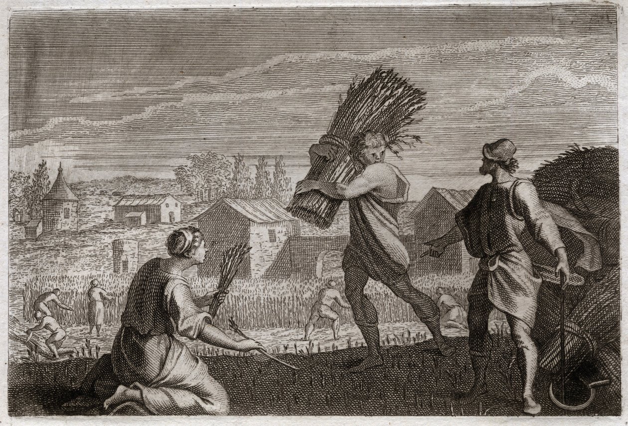 Biblia de Royaumont, Antiguo Testamento: Rut sigue a su suegra Noemí en la tierra de Judá y cosecha los campos de trigo de Booz. Ilustración de 1811. de Unknown artist