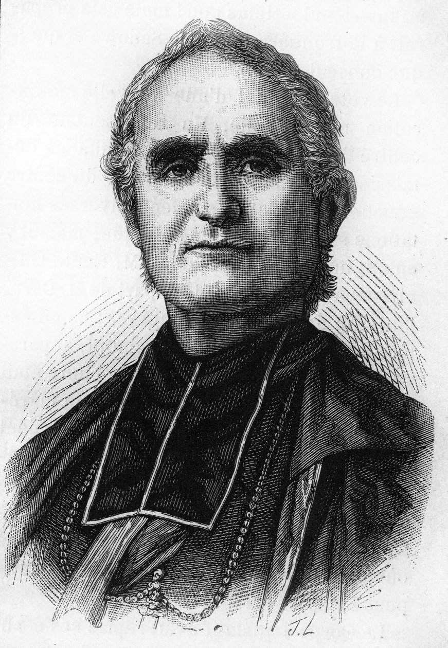 Obispo Félix Dupanloup (1802 - 1878), prelado francés, obispo de Orleans. de Unknown artist