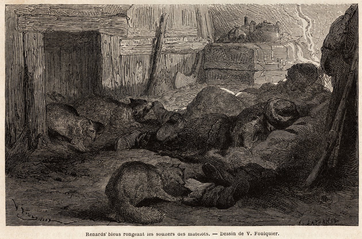 Zorros azules royendo los zapatos de los marineros dormidos de Unknown artist