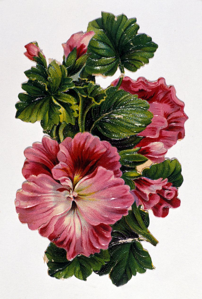 Ramo de flores. Cromolitografía del siglo XIX. de Unknown artist