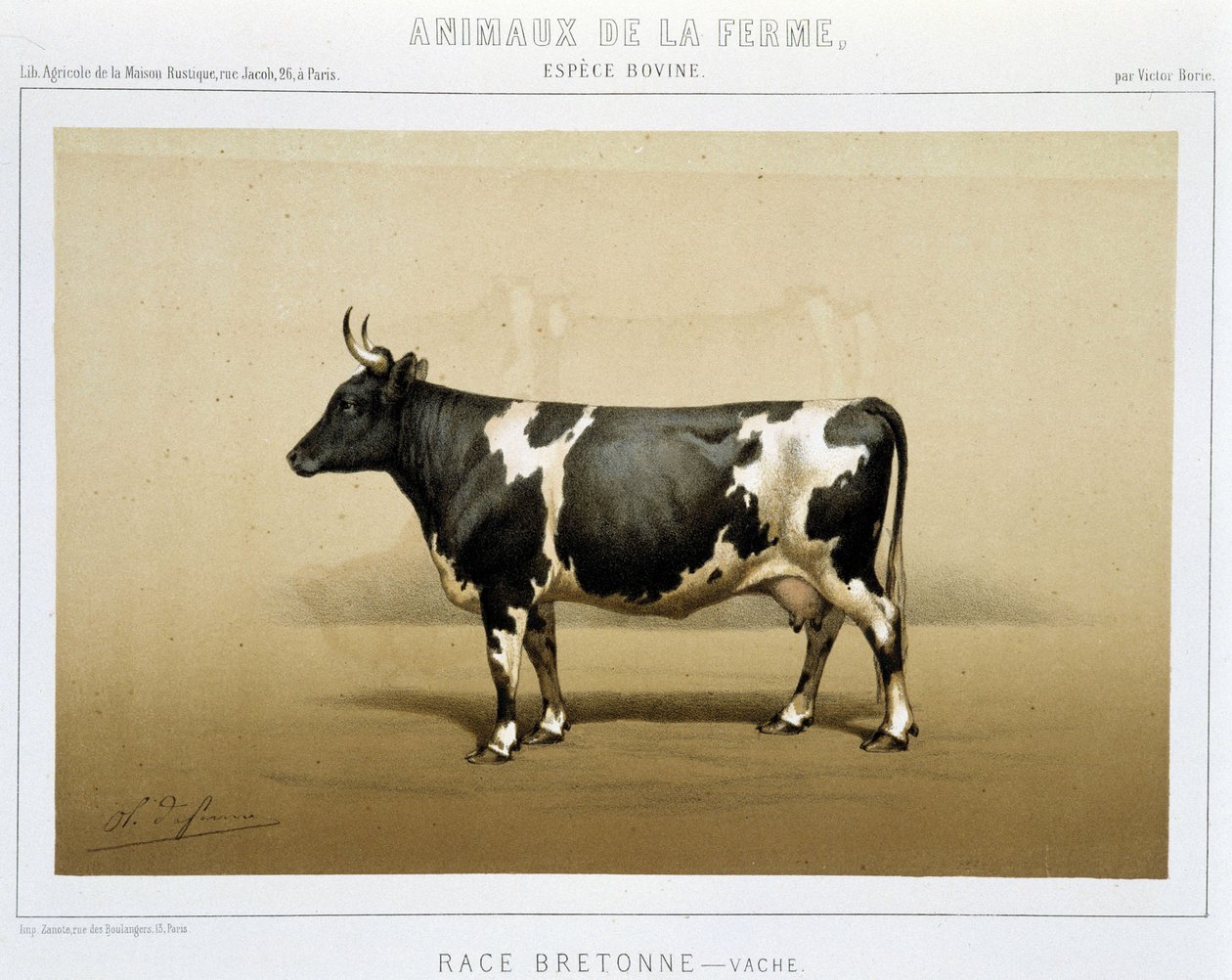 Vaca bretona de Unknown artist