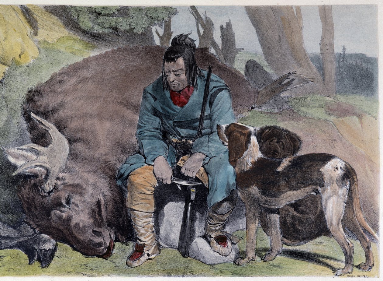 Caza de alces hurones canadienses - en “Bocetos de Shyth en las Canadas” de Coke Smyth, Londres de Unknown artist