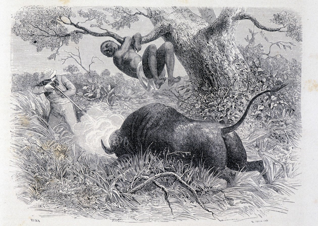 El capitán Speke cazando búfalos - en "Tour du Monde" de Unknown artist