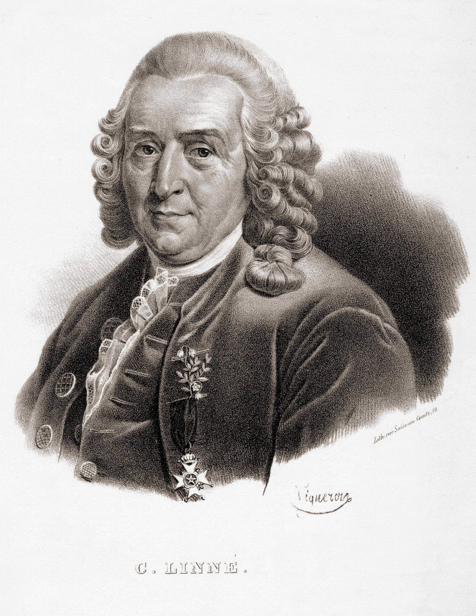 Carl Von Linné naturalista y escritor sueco (1707 - 1778). de Unknown artist
