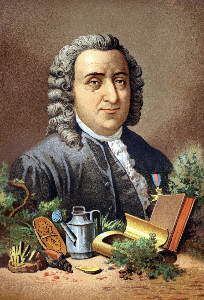 Carl Von Linné naturalista y escritor sueco (1707 - 1778) después de "La Ciencia y sus Hombres" por Louis Figuier. Barcelona 1881 de Unknown artist