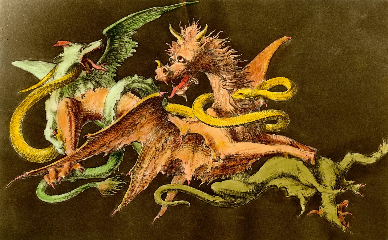 Quimeras Un dragón luchando contra dos monstruos. Grabado del siglo XIX. de Unknown artist