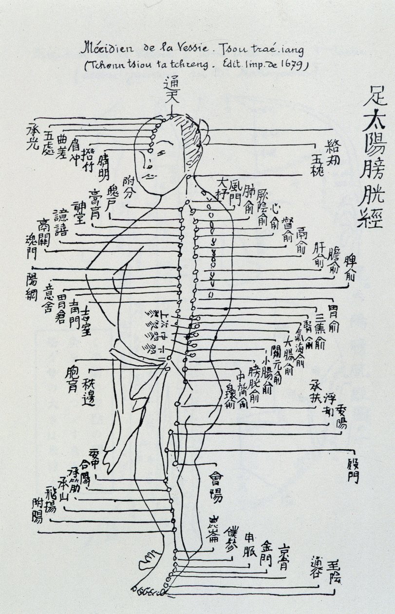 Acupuntura china: el meridiano de la vejiga de Unknown artist
