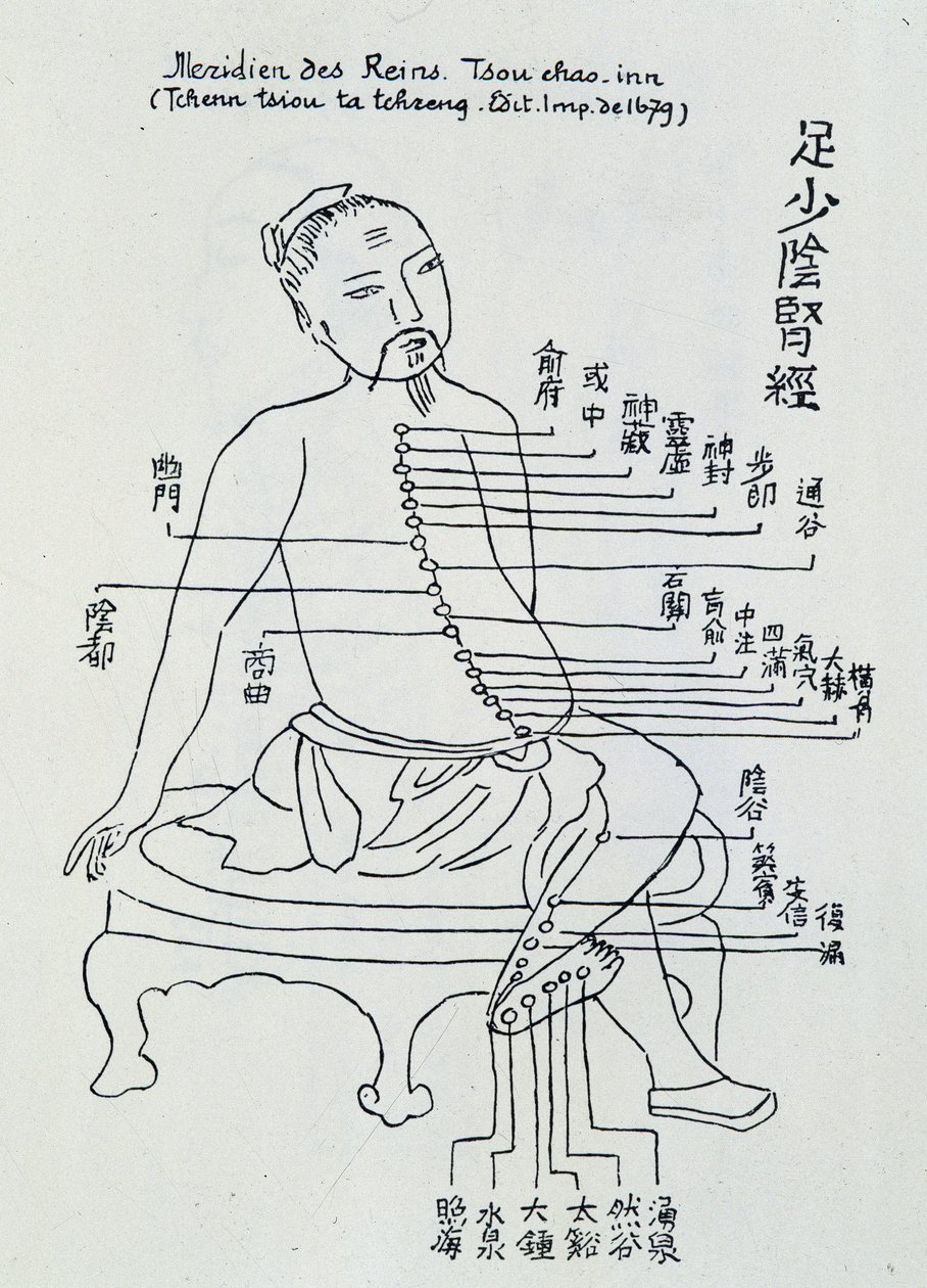 Acupuntura china: el meridiano de los riñones de Unknown artist